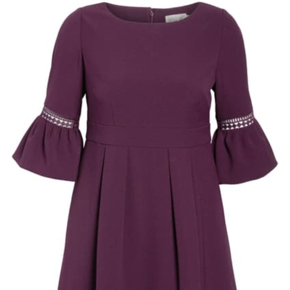 Eliza J 20W Fit and Flair Dress